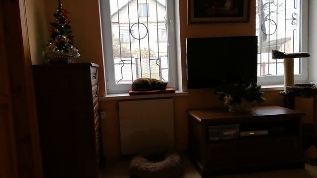 Затишье перед бурей. Воскресный день перед трансляцией. смотреть онлайн