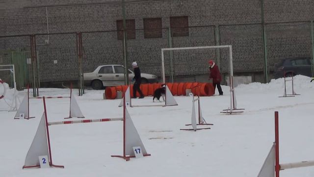 Д-Open Large - Захарова Екатерина и бордер колли Иллай смотреть онлайн