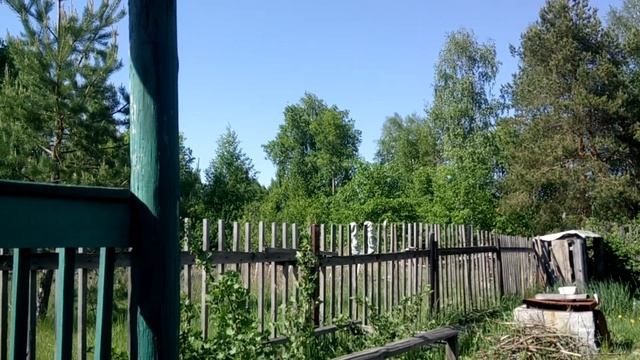 Dacha-Relax смотреть онлайн