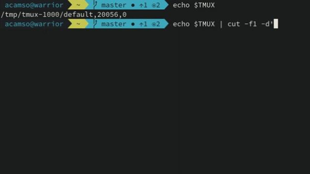 How To Get Tmux Socket Path Using Linux Command Line (Bash) смотреть онлайн