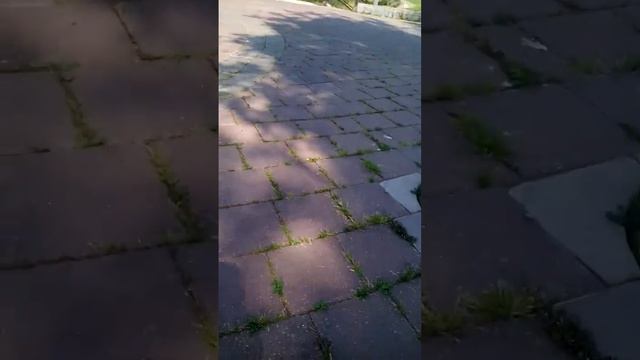 Пошли на качели смотреть онлайн