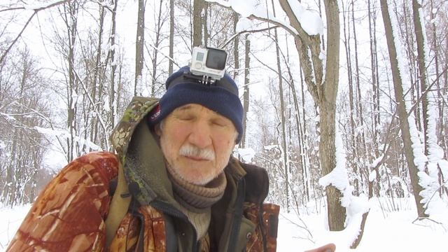 Как посчитать зверей и птиц в лесу смотреть онлайн