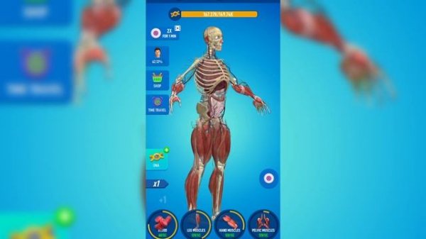 Idle Human 2! EPIC FULL EVOLUTION! Human Evolution -FunnyManiac-
