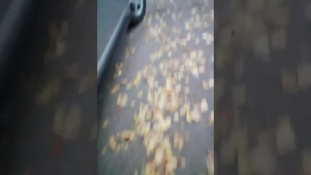 Номер 666 смотреть онлайн