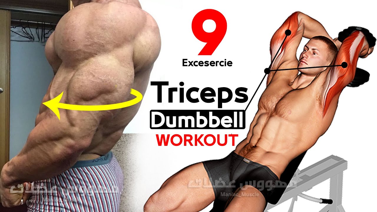 Как построить тренировку на трицепс (с гантелями) смотреть онлайн
