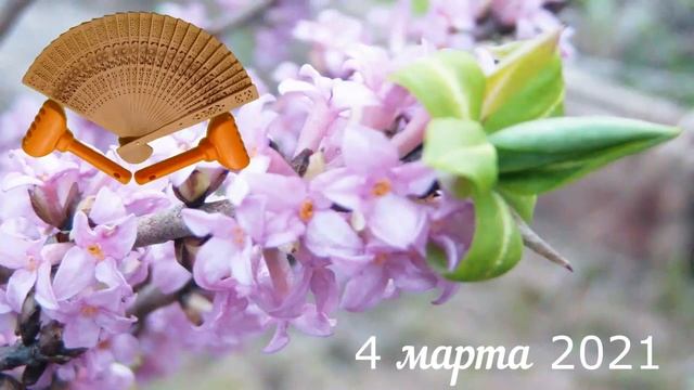 Грабли веерные Для любителей канала Грабли Лайф 04 03 21 смотреть онлайн