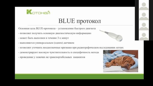 Диагностика отеков лёгких смотреть онлайн