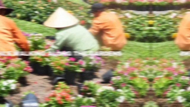 The 7 Things To Do  - Ho Chi Minh, Vietnam | Vietnam Travel Guide |