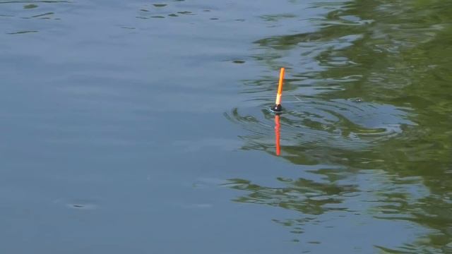 Рыбалка на утренней зорьке на поплавок на реке смотреть онлайн