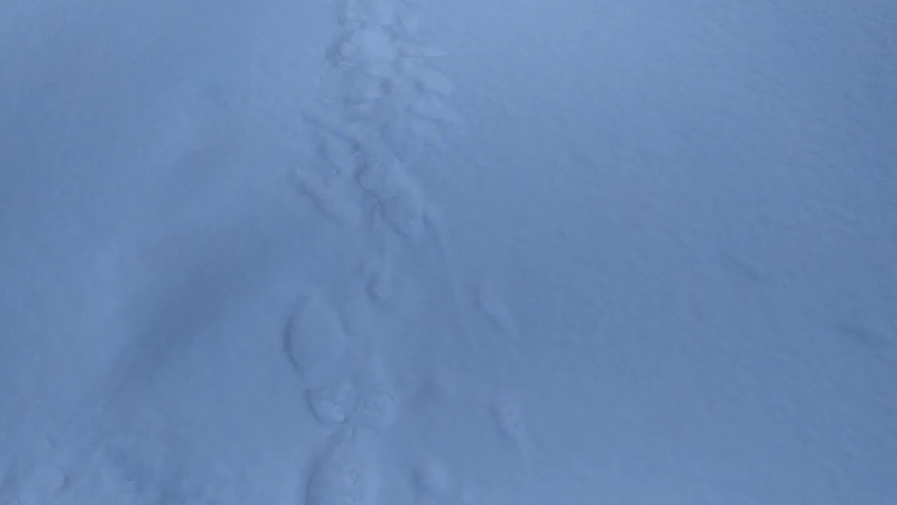 1 Января север России смотреть онлайн