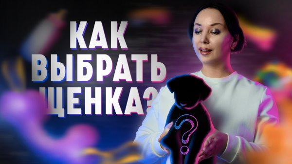 Как выбрать щенка? - Dogville