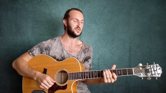 Taylor 614CE Fishman Prefix acoustic fingerstyle guitar смотреть онлайн