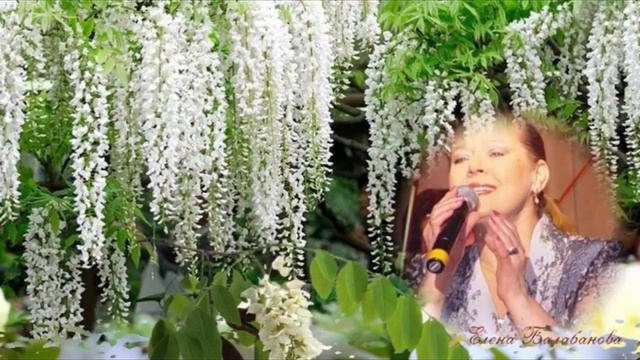Белой акации гроздья душистые. смотреть онлайн