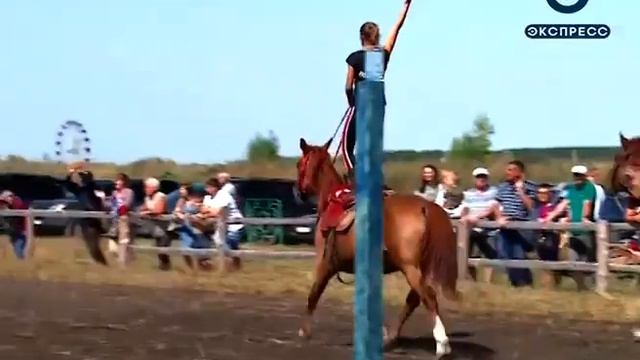 Пензенец стал абсолютным чемпионом всероссийского турнира «Казарла-2018» смотреть онлайн