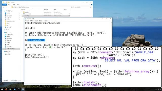 【Perl, Oracle】Perl で Oracle アクセス (Windows 10) смотреть онлайн