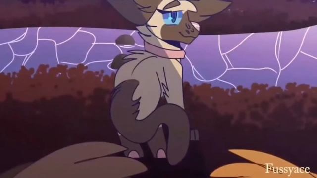 Коршун и Ежевика//Killing Butterflies//Клип//Коты Воители//Lapka_Jam смотреть онлайн