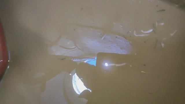 Podkapaev.ru Снт "Весна" Черви в колодце, донный фильтр нужен!!! смотреть онлайн