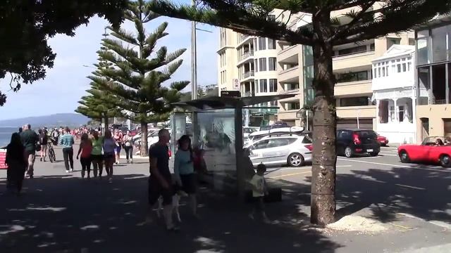 Новая Зеландия. Природа, Тихий океан и самый чистый воздух на Планете. смотреть онлайн