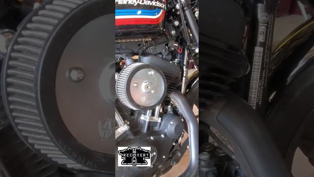 Cleaning Arlen Ness Stage #1 Big Sucker Air Filter On Sportster 1200 Iron #sportster #airfilter #hd
