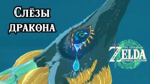 Слёзы дракона. Все геоглифы. The Legend of Zelda Tears of the Kingdom. The Dragon's Tears