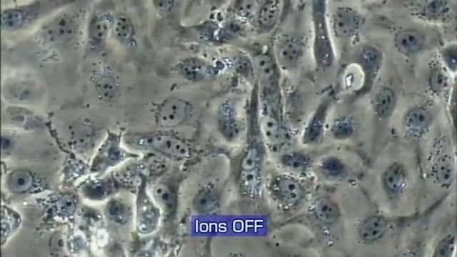 Negative Ions Kill Viruses - Stone Circle Ruins Generate High Concentration - Michael Tellinger смотреть онлайн