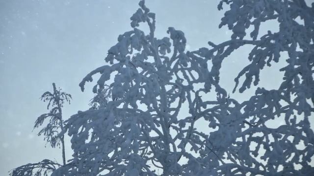 ЗИМНЯЯ СКАЗКА смотреть онлайн