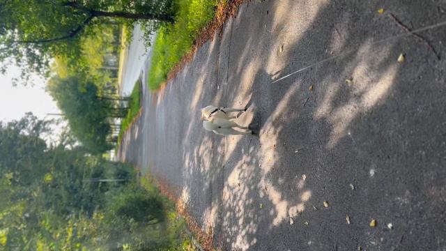 13-08-2024 смотреть онлайн