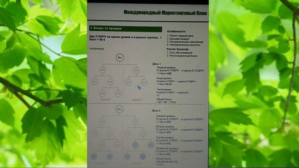 МЕЖДУНАРОДНЫЙ МАРКЕТИНГ ПЛАН GREENLEAF