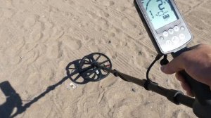 Металлодетектор Minelab Equinox 600
