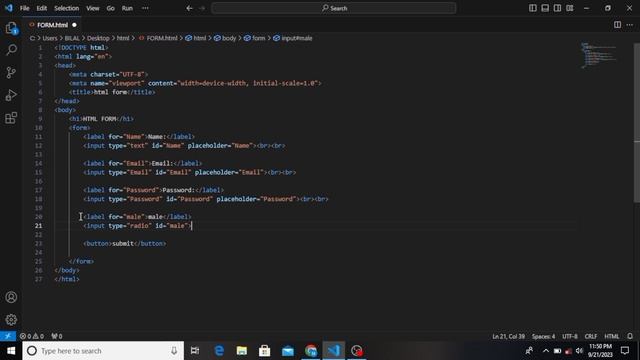Placeholder in HTML form |Tutorial #12 смотреть онлайн