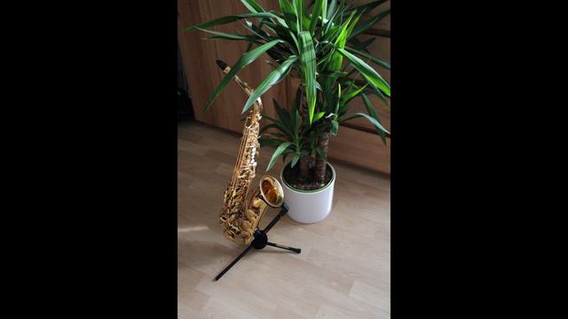 Saxophone Beat (JAZZY VIBES) смотреть онлайн
