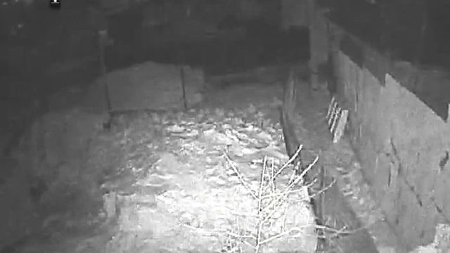 Кража видеокамеры в Чебоксарах смотреть онлайн