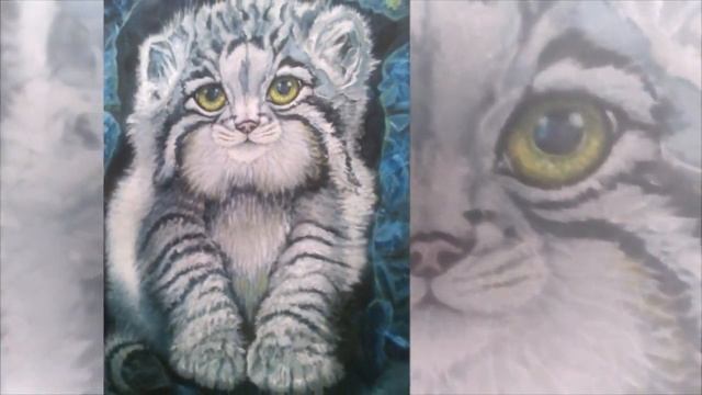 Дикий котенок Манул. Картина. смотреть онлайн