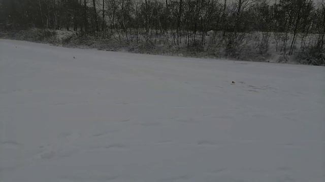 Бател на жерлицах! Серёга меня сделал(( Ловля щуки на жерлицы ! Январь 2021г. смотреть онлайн