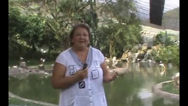 Что такое Рейки. Места силы рейки. Парк птиц . Рэйки, Рейки, Reiki смотреть онлайн