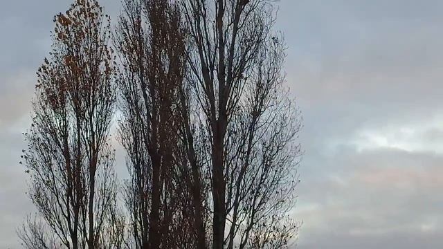 20181112 155026 Каменка-Днепровская осенний городской пляж. смотреть онлайн