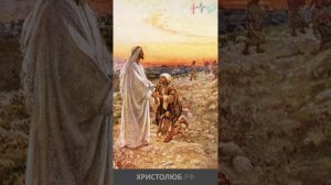 #ИИСУС #ХРИСТОС исцеляет десятерых прокажённых #Евангелие #Библия @ХРИСТОЛЮБ ✝️ @ВЕГАН ? #shorts