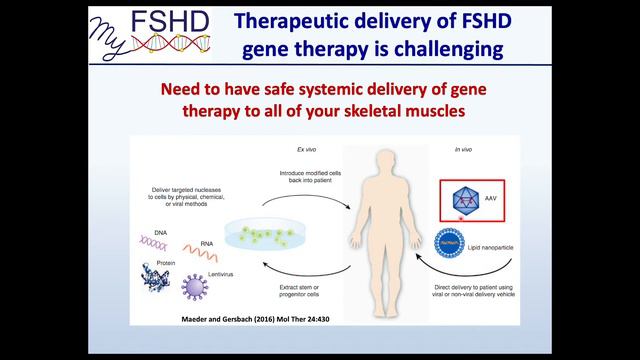 Major breakthrough in gene therapy for neuromuscular diseases смотреть онлайн