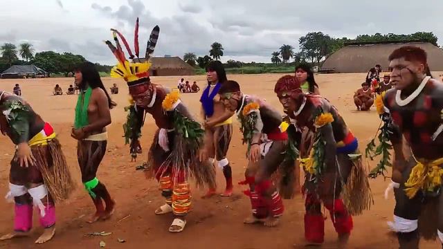 Амазонка камаюра смотреть онлайн