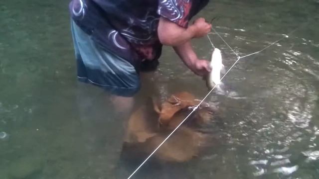 Poor boy fishing...aka redneck fishing смотреть онлайн