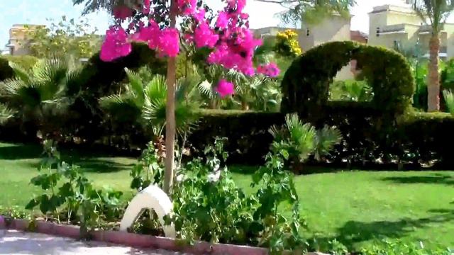 7. Египет. Хургада. Отель Three Corners Sunny Beach Resort 4*.Декабрь 2014г. смотреть онлайн