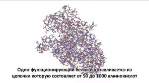 Доказательства Бога   факты и исследования