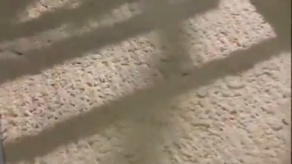 Производство MDF и HDF плит ламината Kaindl