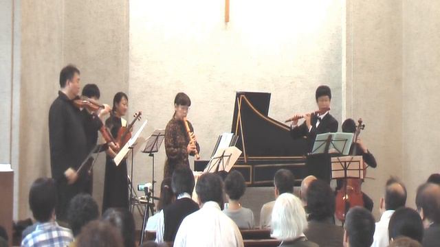 Telemann : Concerto for Recorder and Flute in E minor, TWV52:e1 Last Movement смотреть онлайн