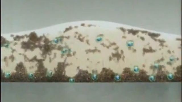 Реклама Cif Cream и Спреи Cif 2008 ?? смотреть онлайн