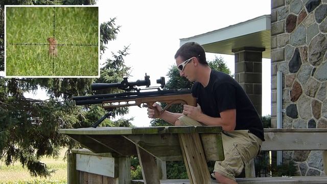 Ground Squirrel Pest Control - Poison vs Pellets [contains hunting] смотреть онлайн