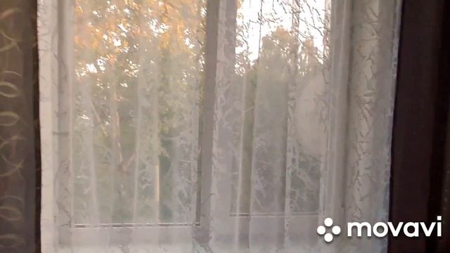хорошим бабам мужиков не хватает , а они.. / Наташа - мастер ))) / купили тюль 26 метров / смотреть онлайн