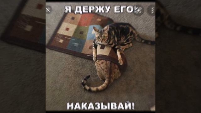 Смешные фото часть 3💜😈💜😈💜😈💜😈💜😈💜😈💜😈💜😈💜😈💜😈💜😈💜😈💜😈💜😈💜😈💜😈💜😈💜😈💜😈💜😈💜😈💜😈💜😈💜😈💜😈💜 смотреть онлайн