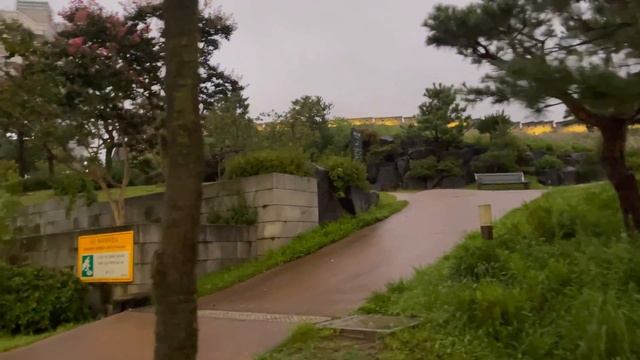 KOREA VLOG Первые дни в СЕУЛЕ 2021 в Корее #жизньвкорее #корея #кореявлог