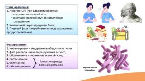 4.6. Туберкулёз